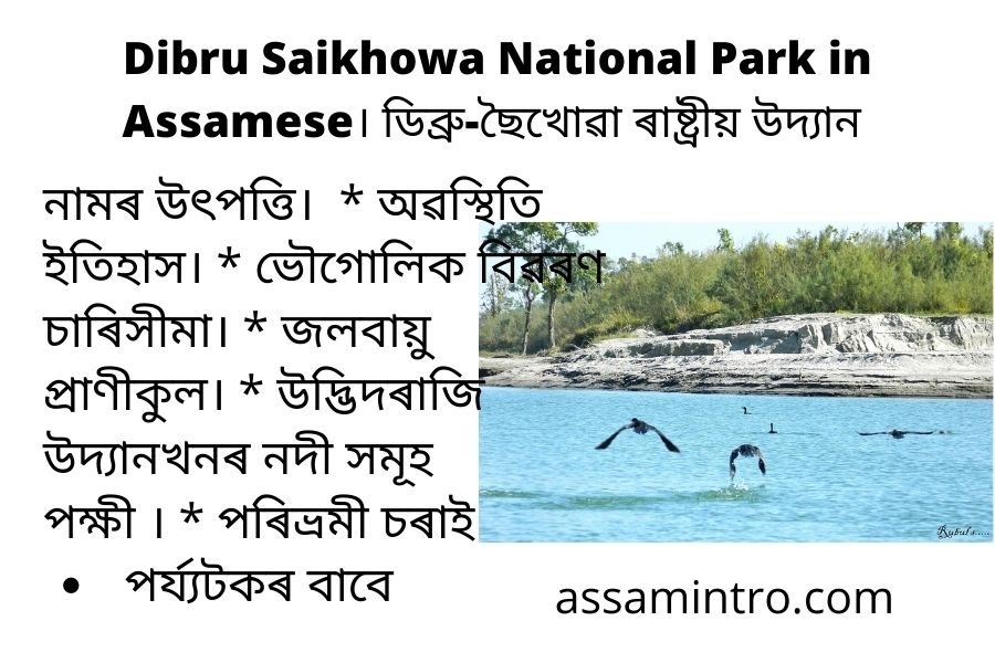 Dibru Saikhowa National Park in Assamese