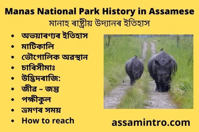 Manas National Park History in Assamese । মানাহ ৰাষ্ট্ৰীয় উদ্যানৰ ইতিহাস
