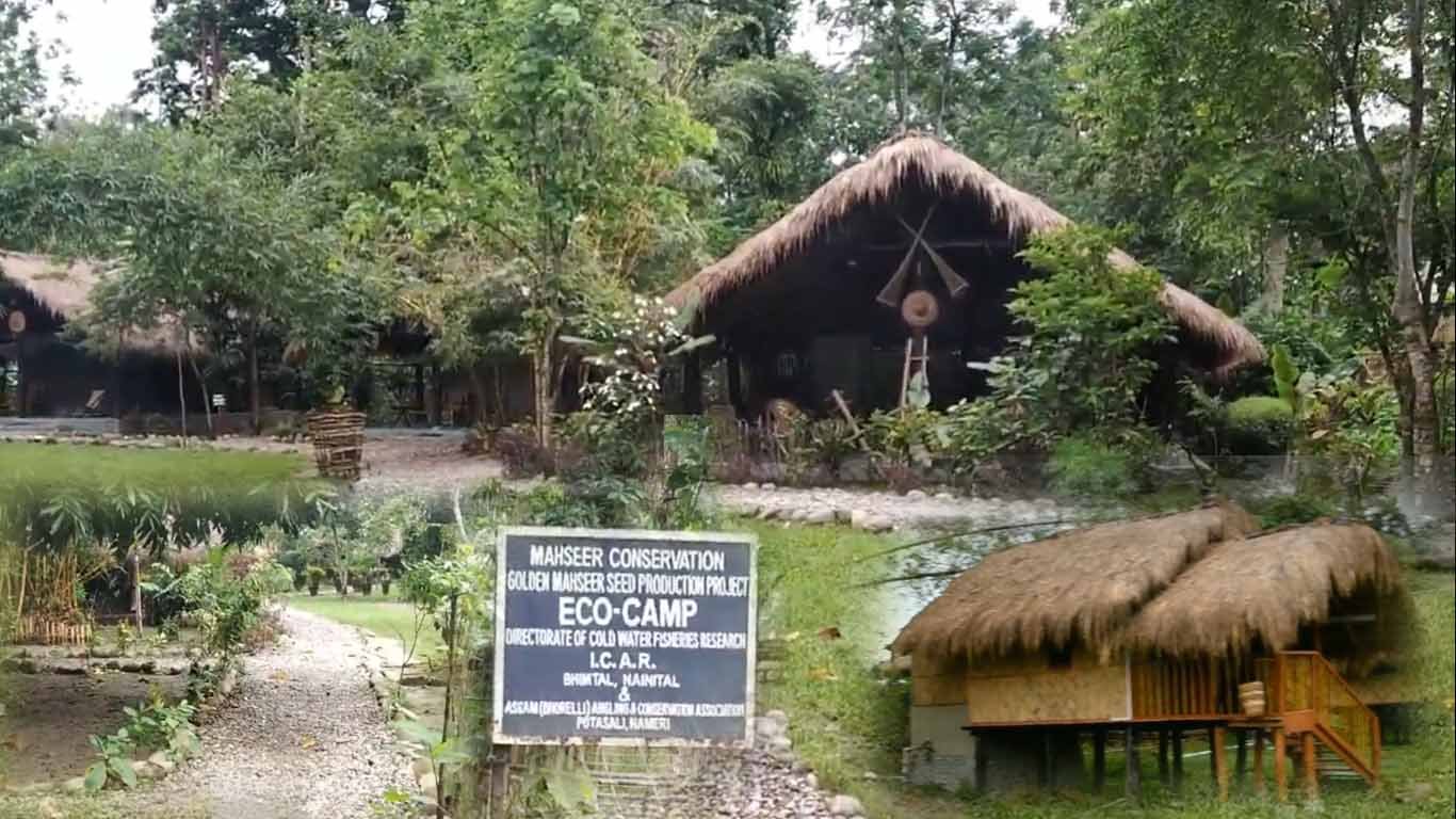 Eco camp of Nameri National Park