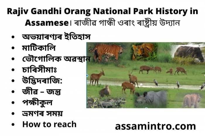 Rajiv Gandhi Orang National Park History in Assamese। ৰাজীৱ গান্ধী ওৰাং ৰাষ্ট্ৰীয় উদ্যান