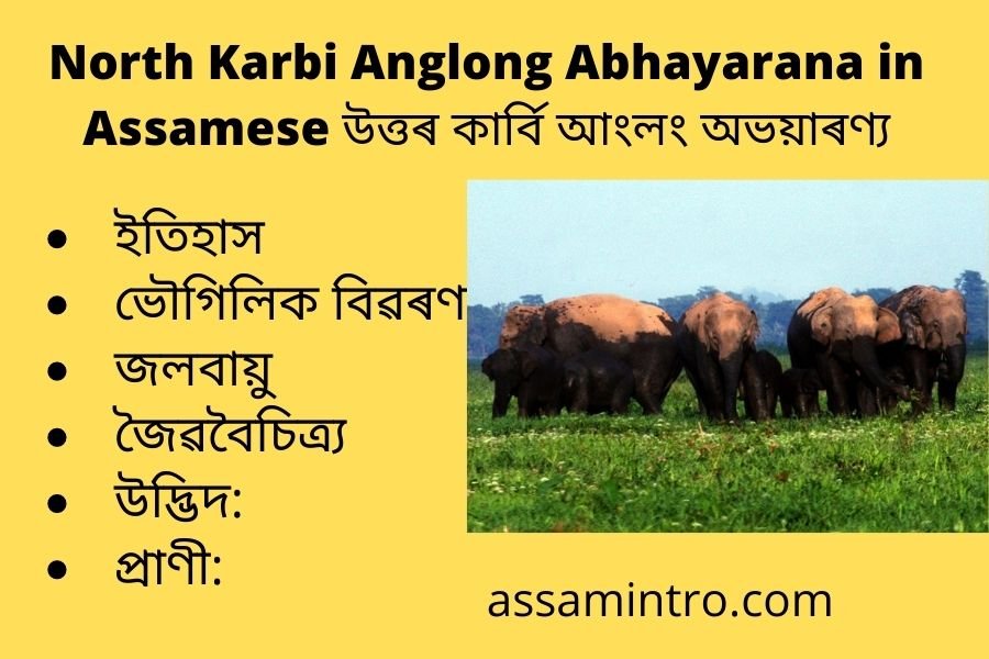 North Karbi Anglong Abhayarana in Assamese
