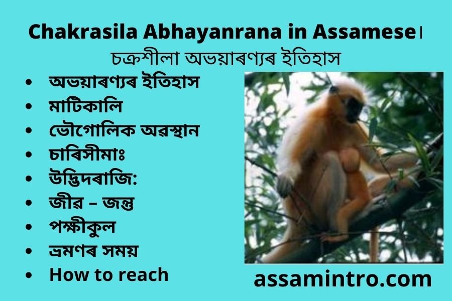 Chakrasila Abhayanrana in Assamese