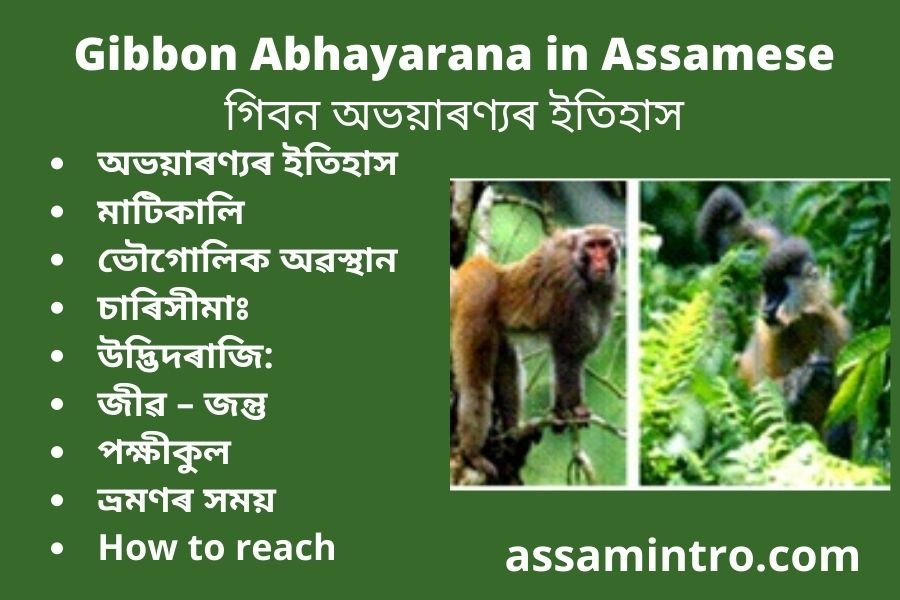 Gibbon Abhayarana in Assamese