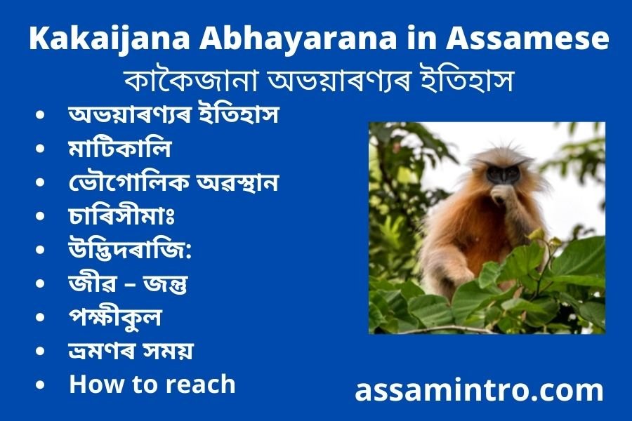Kakaijana Abhayarana in Assamese