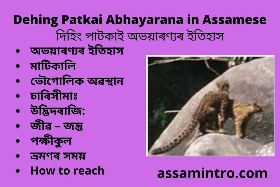 Dehing Patkai Abhayarana in Assamese