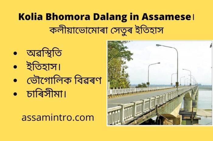 About of Kolia Bhomora Dalang in Assamese। কলীয়াভোমোৰা সেতু