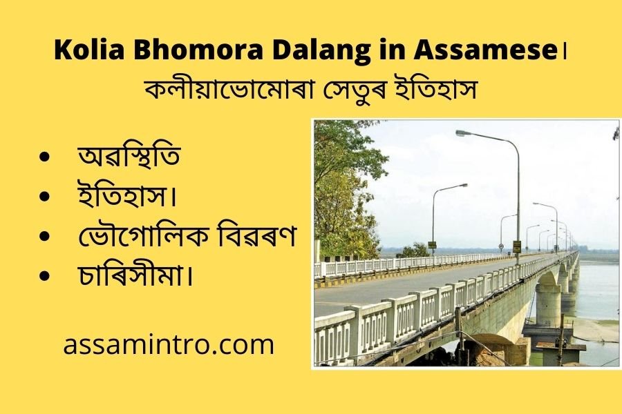 Kolia Bhomora Dalang in Assamese