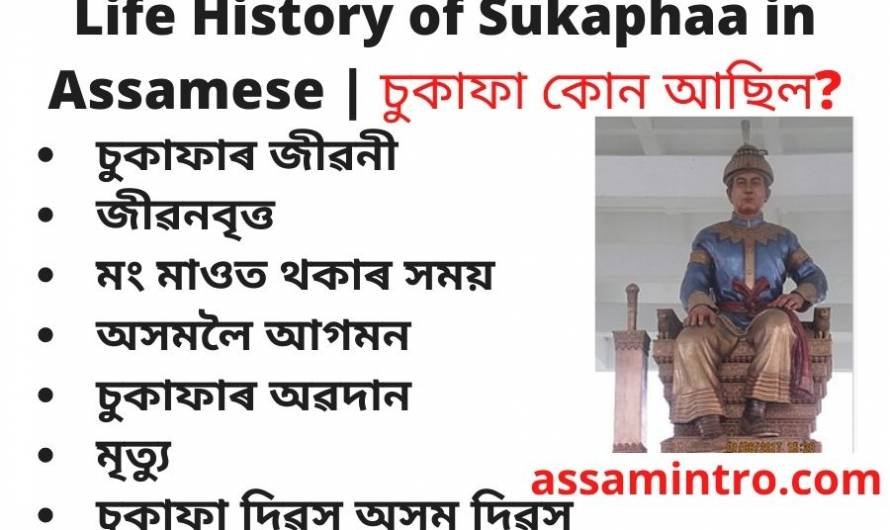 Life History of Sukaphaa in Assamese