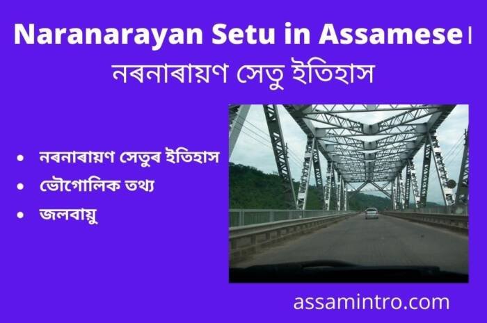 About of Naranarayan Setu in Assamese। নৰনাৰায়ণ সেতু