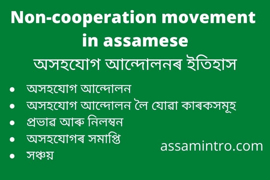 Non-cooperation movement in assamese