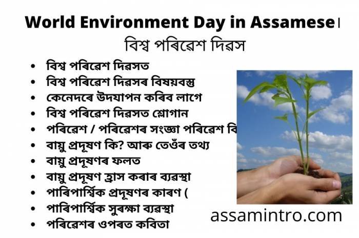 বিশ্ব পৰিৱেশ দিৱসৰ কিছু কথা | World Environment Day in Assamese