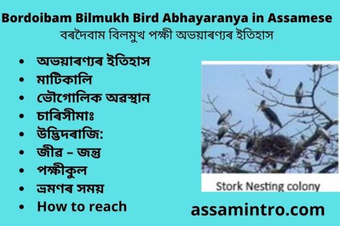 Bordoibam Bilmukh Bird Abhayaranya in Assamese । বৰদৈবাম বিলমুখ পক্ষী অভয়াৰণ্যৰ ইতিহাস