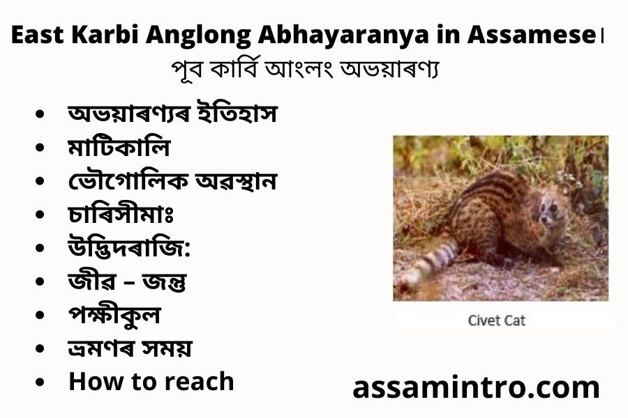 East Karbi Anglong Abhayaranya in Assamese