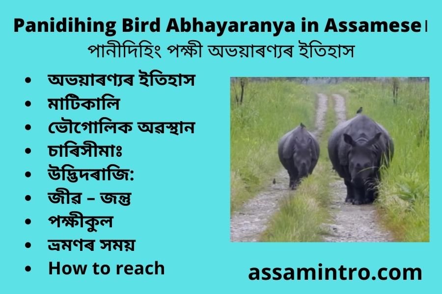 Panidihing Bird Abhayaranya in Assamese