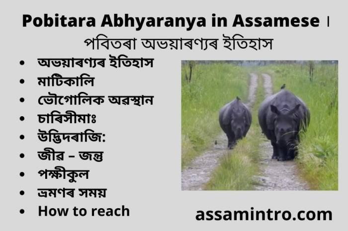 Pobitara Abhyaranya in Assamese । পবিতৰা অভয়াৰণ্যৰ ইতিহাস