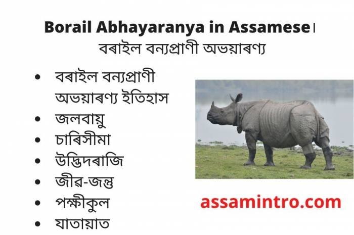 Borail Abhayaranya in Assamese। বৰাইল বন্যপ্রাণী অভয়াৰণ্য