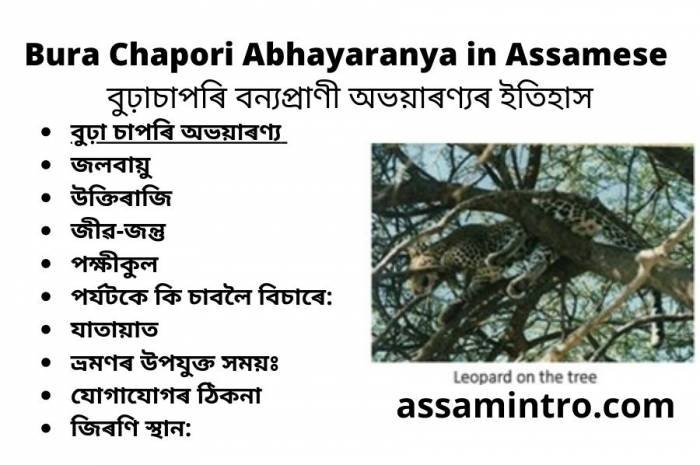 Bura Chapori Abhayaranya in Assamese বুঢ়াচাপৰি বন্যপ্রাণী অভয়াৰণ্যৰ ইতিহাস