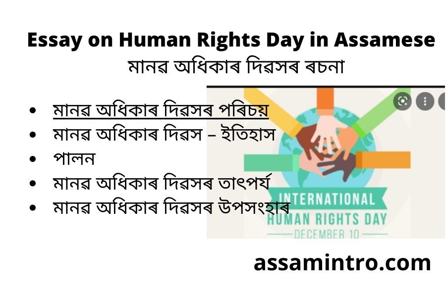 Essay on Human Rights Day in Assamese