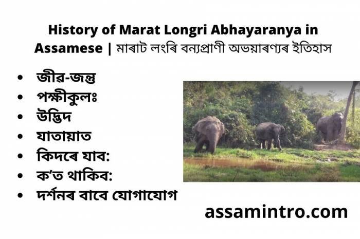 History of Marat Longri Abhayaranya in Assamese | মাৰাট লংৰি বন্যপ্রাণী অভয়াৰণ্যৰ ইতিহাস