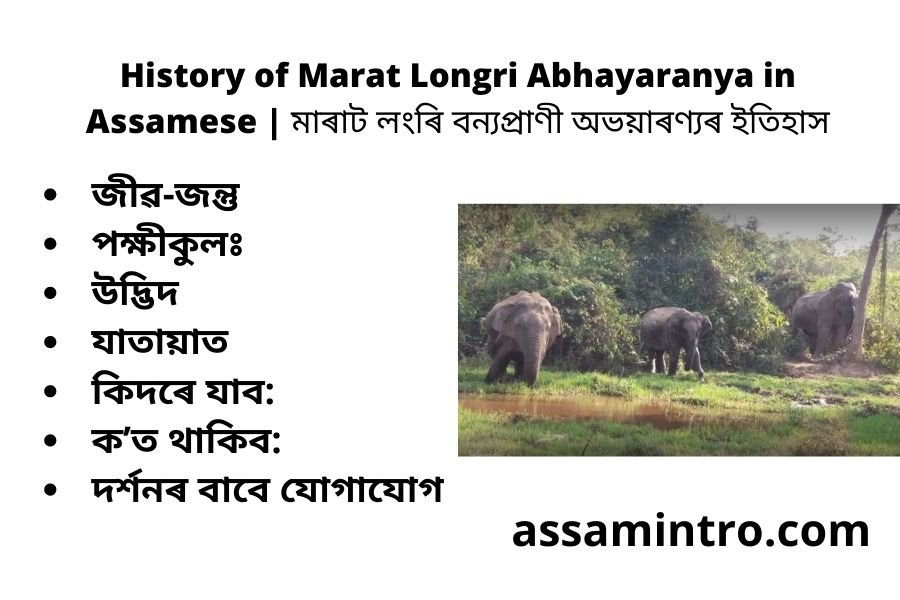 History of Marat Longri Abhayaranya in Assamese