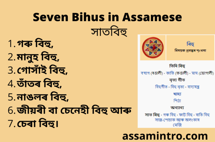 Seven Bihus in Assamese | সাতবিহু