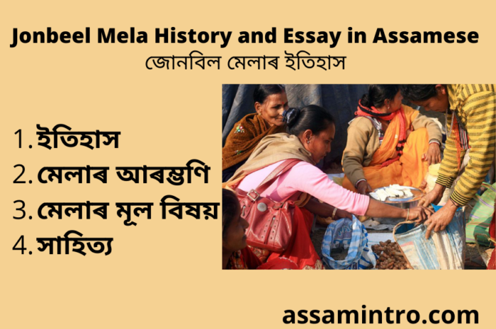 Jonbeel Mela History and Essay in Assamese | জোনবিল মেলাৰ ইতিহাস