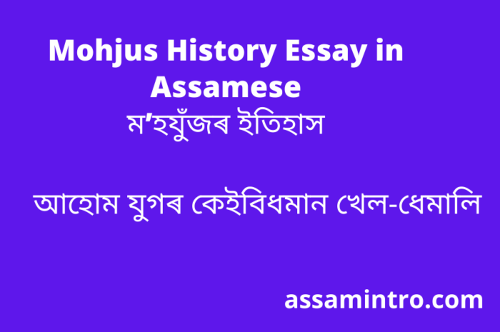 Mohjus History Essay in Assamese | ম’হযুঁজৰ ইতিহাস
