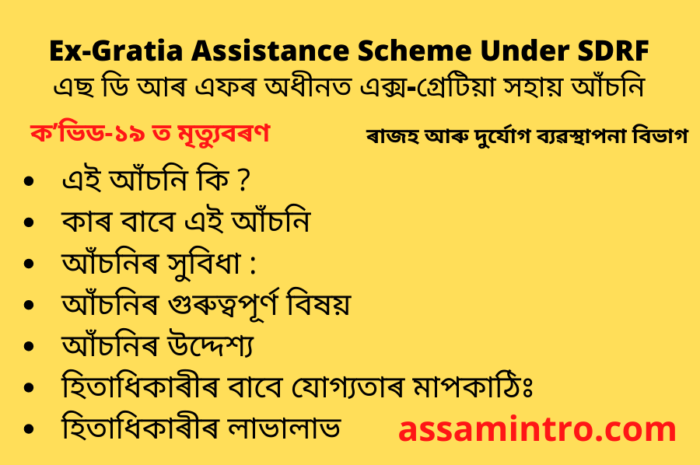 Ex-Gratia Assistance Scheme Under SDRF in Assamese | এছ ডি আৰ এফৰ অধীনত এক্স-গ্ৰেটিয়া সহায় আঁচনি